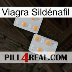 Viagra Sildénafil 25